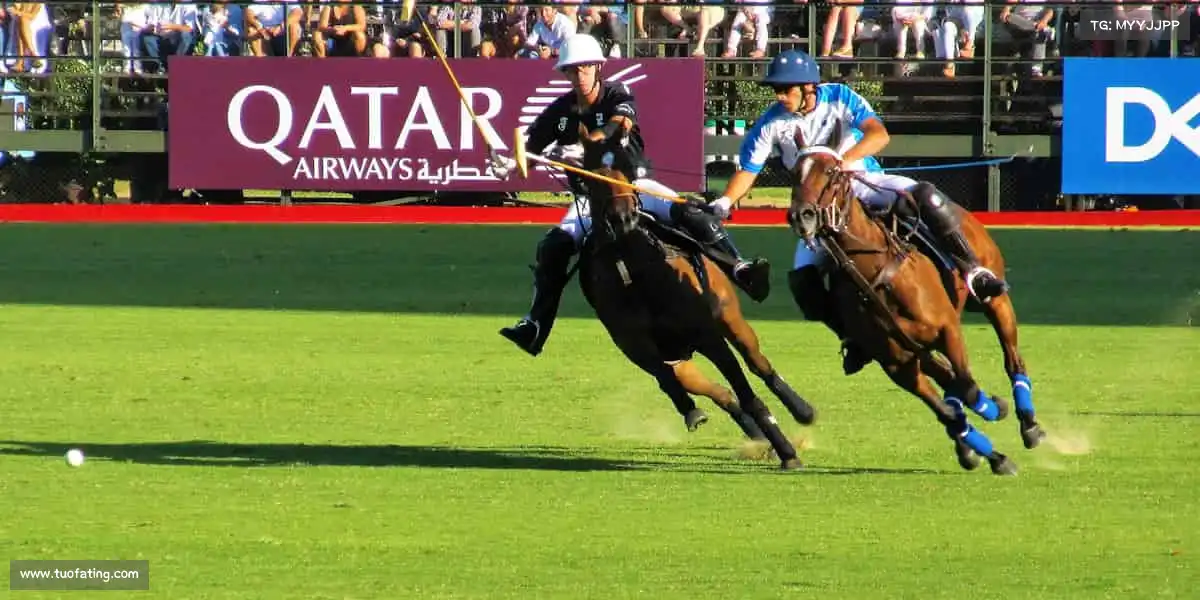 行业领先的理由